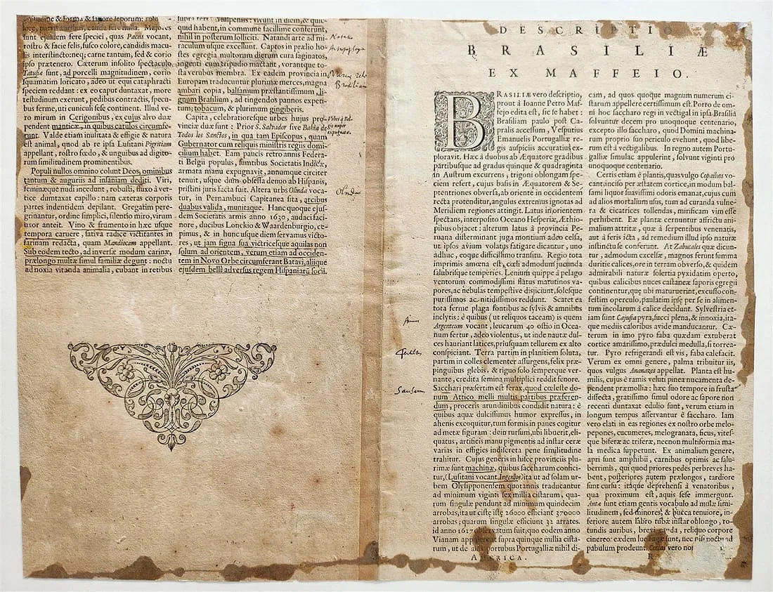 1640s Map of Brazil - Novus Brasiliae Typus view 7